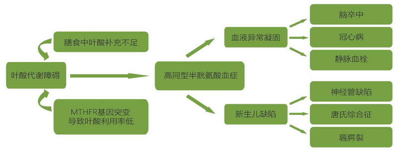 20200307235808425 PariMatch拼搏(中国)体育官方网站