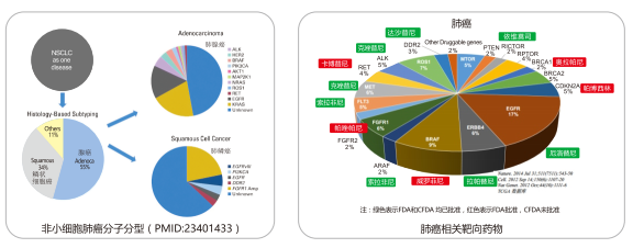 PariMatch拼搏(中国)体育官方网站