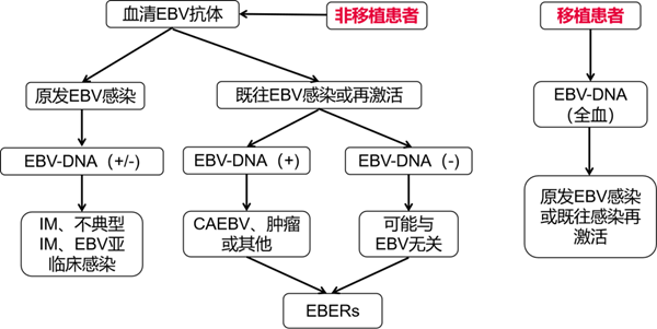 PariMatch拼搏(中国)体育官方网站